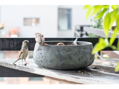 Feeding bowl