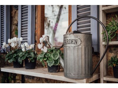 Watering can