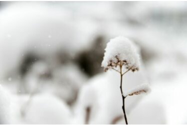 Photos in the snow - Photos in the snow: Your guide | fotoalben-discount.de