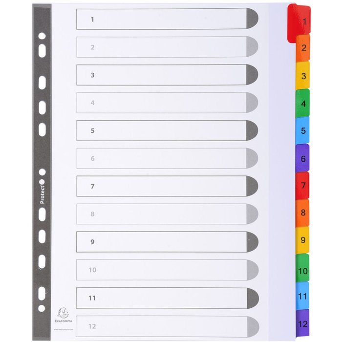 Exacompta register pages DIN A4 with 12 tabs