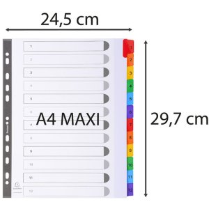 Exacompta register pages DIN A4 with 12 tabs