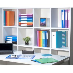 Ring Binder PP 700? with 4 rings 30mm, 40mm back, opaque, A4 overwidth Blue