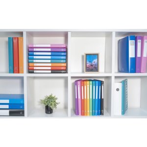 Ring Binder PP 700? with 4 rings 30mm, 40mm back, opaque,...