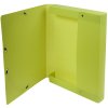 Archive box Exabox from recycled PP 700? Back 40mm with label Forever, A4 citrus green