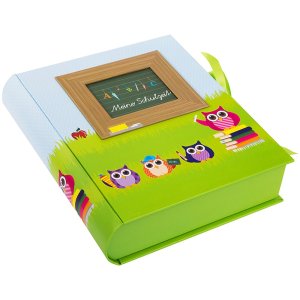 School Collectors Box Owl School Time Collectors Box