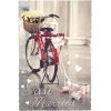 ARTEBENE card Just Married Bicycle