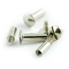 Screw set silver