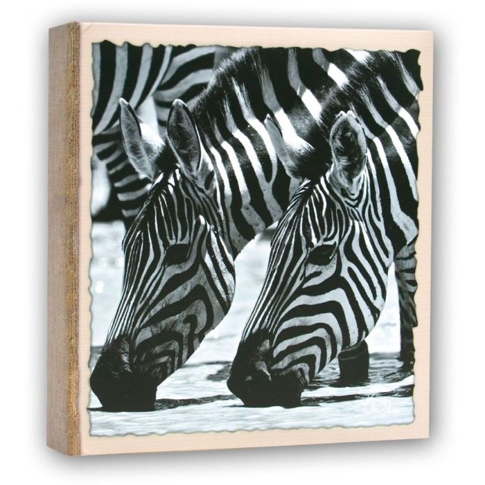 WILD LIFE slip-in album 100 photos 11x16 cm