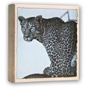 WILD LIFE slip-in album 100 photos 11x16 cm