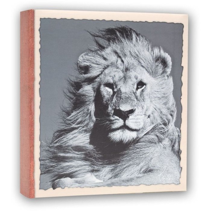 WILD LIFE slip-in album 100 photos 13x19 cm