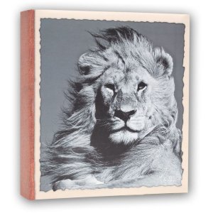 WILD LIFE stock album 200 photos 11x16 cm