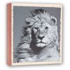 WILD LIFE stock album 200 photos 13x19 cm