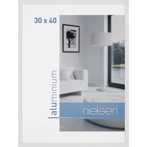 Nielsen alu frame C2