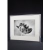 Nielsen Accent aluminium frame 10x15 cm to 70x100 cm