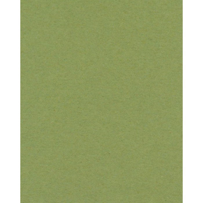 Bevel cut mat green 40 sizes Verde Salvia