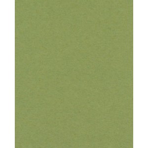 Bevel cut mat green 40 sizes Verde Salvia