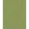 Bevel cut mat green 40 sizes Verde Salvia