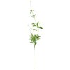 artificial plant green - 6PL0182 Clayre Eef