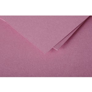 envelope 165x165 mm hydrangea rose - 55483C