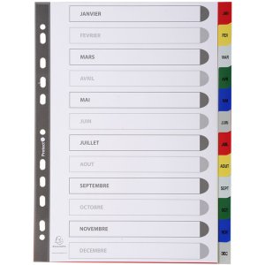 register pages DIN A4 with 12 tabs