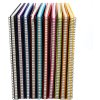 Goldbuch Spiral album Bella Vista assorted 34x30 cm 40 white sides