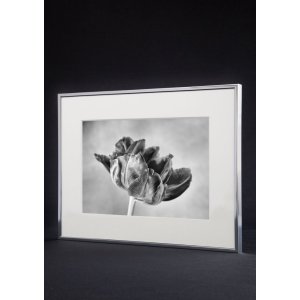 Accent aluminium frame 60x80 cm  silver mat