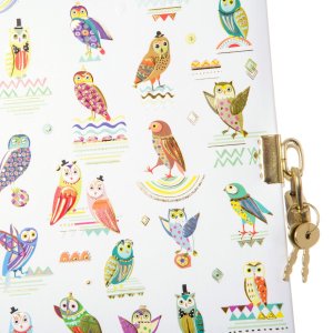 diary Owls - 44 358 Goldbuch