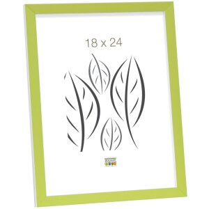 photo frame green-white wood 20,0 x30,0 cm S43AL