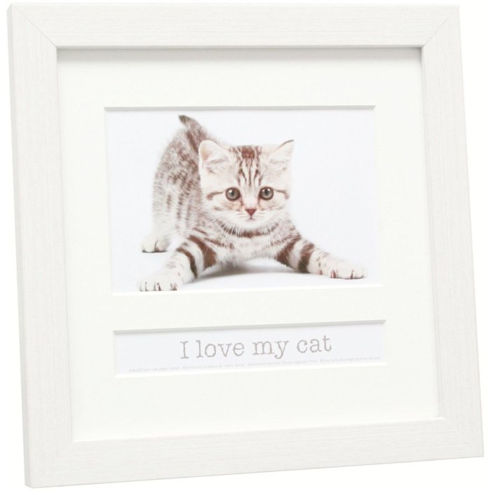 picture frame with text field white 10x15 cm cat