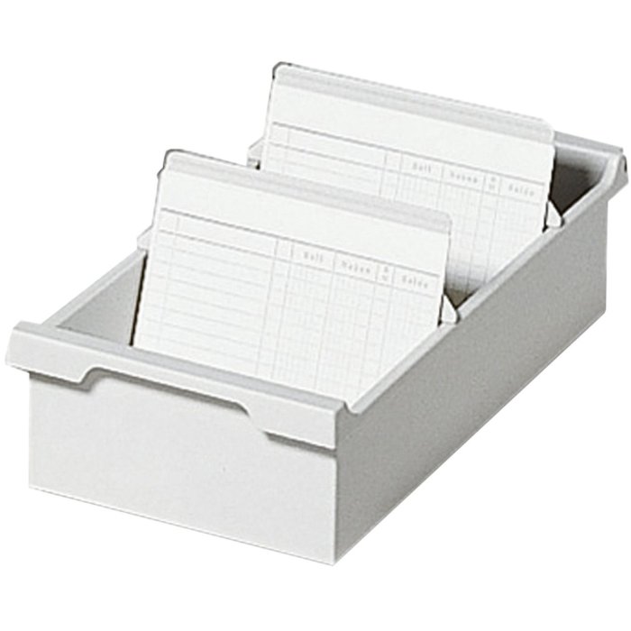 Card index DIN A4 - light gray