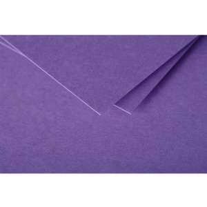 Pack 25 Cards Pollen, DL 106x213mm, 210g - Purple