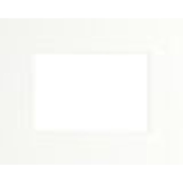 Standard passepartout Ceanothe 30x40 cm with 20x30 cm broken white