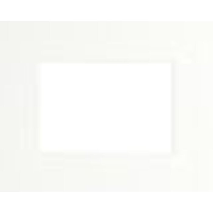 Standard passepartout Ceanothe 40x50 cm with 20x30 cm broken white