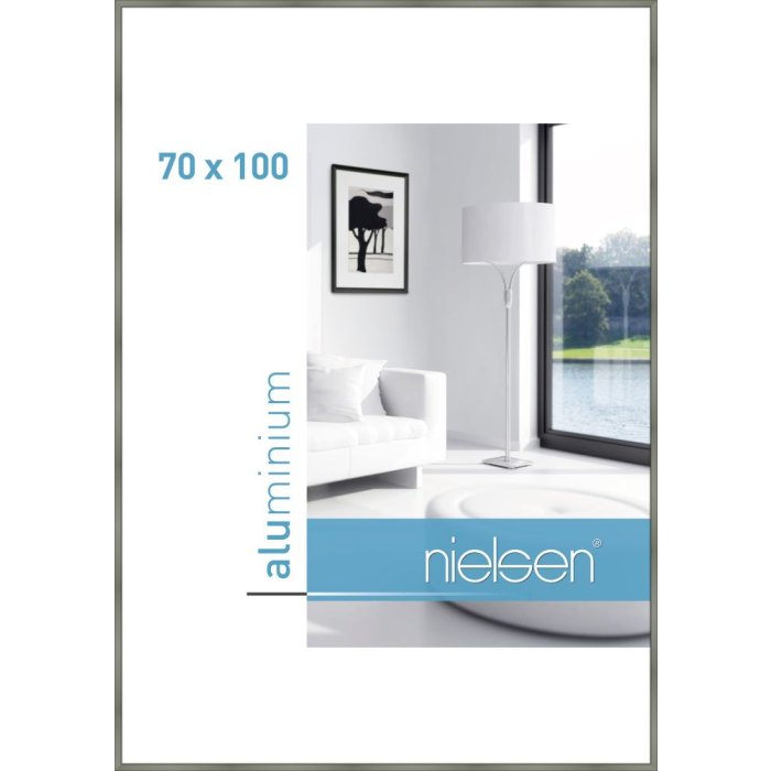 Aluminum frame Classic 70x100 cm platin