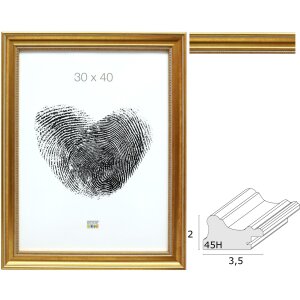 Plastic photo frame gold S45HA1