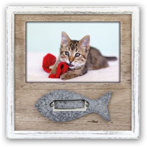 Cat picture frame Hella 10x15 cm