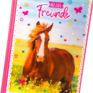 friends book Horse Love