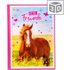 friends book Horse Love