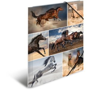 Herma Elasticated folder A4 cardboard horses