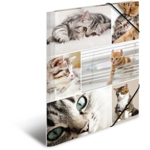 Herma Elasticated folder A4 cardboard cats