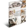 Herma Elasticated folder A4 cardboard cats