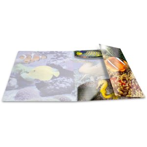 Herma Elasticated folder glossy animals A4 PP fish