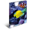 Herma Elasticated folder glossy animals A4 PP fish