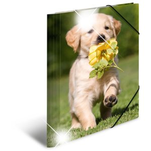 Herma Elasticated folder glossy animals A4 PP dogs