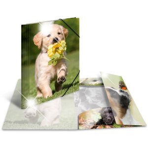 Herma Elasticated folder glossy animals A4 PP dogs