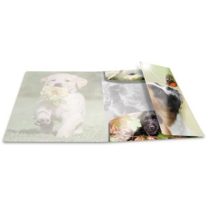 Herma Elasticated folder glossy animals A4 PP dogs