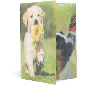 Herma Elasticated folder glossy animals A4 PP dogs