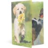 Herma Elasticated folder glossy animals A4 PP dogs