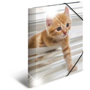 Herma Elasticated folder glossy animals A4 PP cats