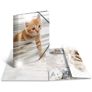 Herma Elasticated folder glossy animals A4 PP cats